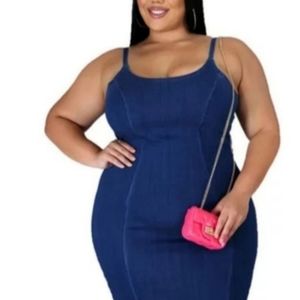 Denim Plus Dress